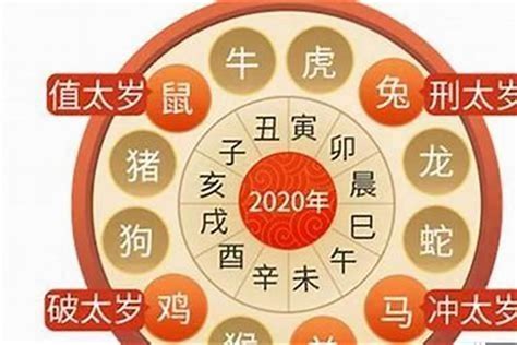 2024虎年運程1974女|属虎人2024年运势及运程详解 2024年属虎的人全年每月运程